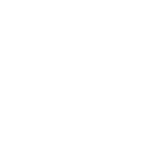 Conveyors/Stackers